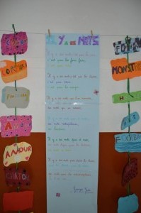 DSC_0049 (FILEminimizer)  